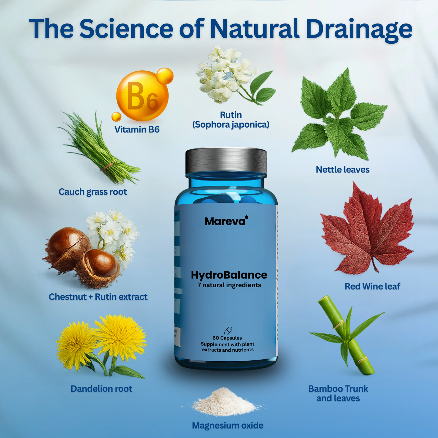 Mareva - HydroBalance